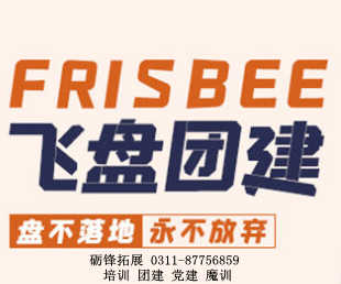 飞盘方案
